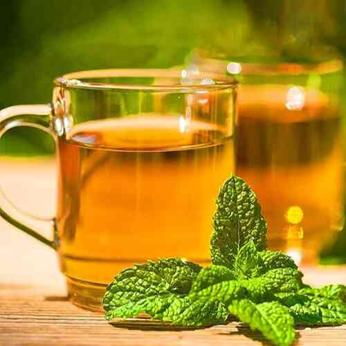 Peppermint Herbal